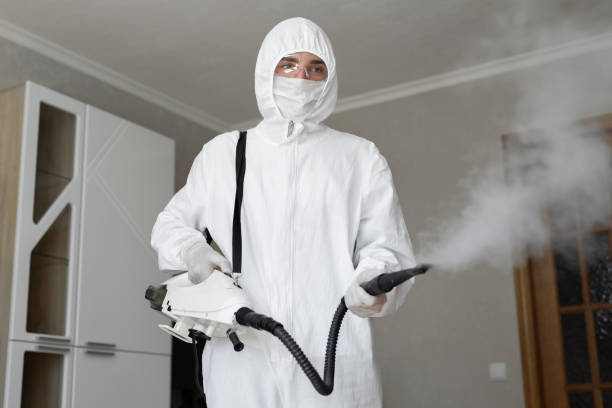 Why You Should Choose Our Mold Remediation Services in Boulder, CO